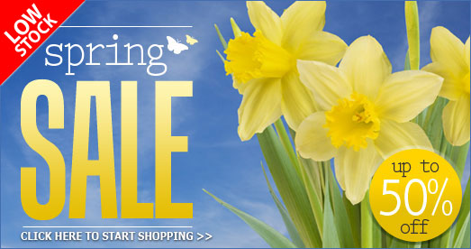 Spring Sale 2012