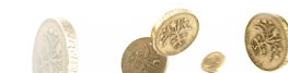 Price Promise Guarantee