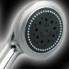 Handheld shower head