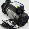 DXD-310G 1HP Water Pump