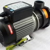 DXD-310G 1HP Water Pump