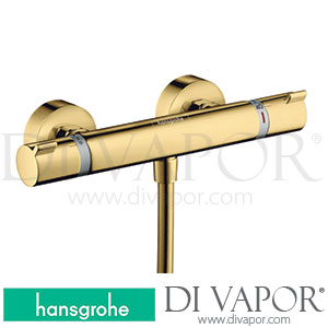 Hansgrohe 13179999 Ecostat Shower Thermostat Comfort for Exposed Installation 3 Ticks >04/20 Spare Parts