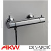 AKW-25658 Shower Spare