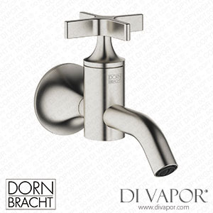 Dornbracht Vaia Wall-Mounted Valve Cold Water - Brushed Platinum 30 010 809-06 Spare Parts