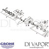 Grohe Lineare Single-Lever Shower Mixer Spares