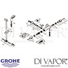 Grohe Grohtherm 1000 Thermostatic Shower Mixer Shower Set Spares