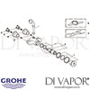 Grohe Contromix Public Self-Closing Shower Mixer Spares