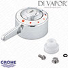 Grohe Avensys Lever Handle