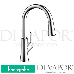 Hansgrohe 04793000 Joleena Single Lever Kitchen Mixer 15 7/8 , Pull-Out Spray, 2Jet Spare Parts >01/20