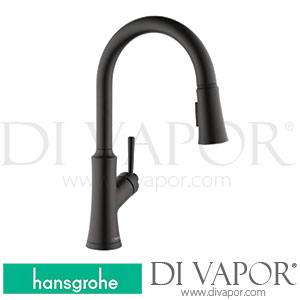 Hansgrohe 04793670 Joleena Single Lever Kitchen Mixer 15 7/8 , Pull-Out Spray, 2Jet Spare Parts >01/20
