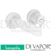 Hansgrohe Spare Parts
