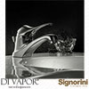 Signorini Spare Parts