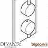 Signorini Spare Parts