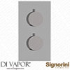 Signorini Spare Parts