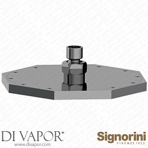 Signorini 91100400 Brass Inspection Octagonal Shower Head Spare Parts