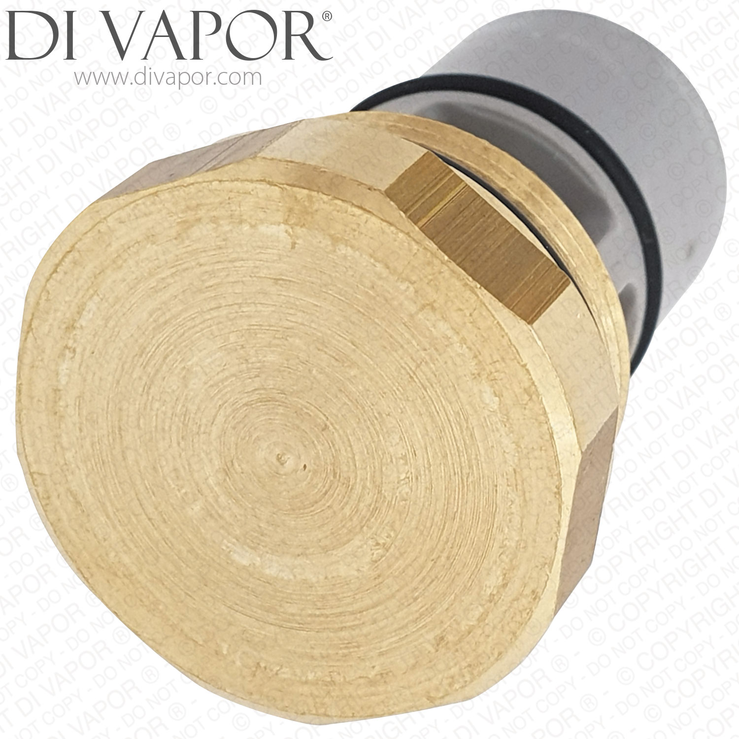 Shower Valve Check Valve 9VX744