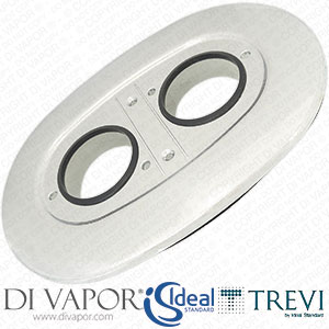 Shower Valve Faceplate