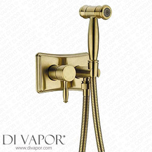CXSMKP Bathroom Bidet Tap Concealed Hot and Cold Bidet Spray Set Hand Held Sprayer Toilet Attachment 2 Function Spray Set Spare Parts