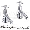 Burlington ANR2-MED Spare