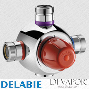 Delabie 731053 Premix Security Group Thermostatic Mixing Valve - After June 2008 - Spare Parts
