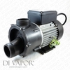 DXD 310B 0.75HP Water Pump 