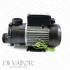 DXD 310B 0.75HP Water Pump 