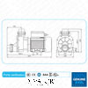 DXD-310G 1HP Water Pump