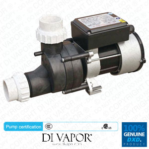 DXD 8A 0.5kW 0.75HP Water Circulation Pump
