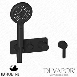 IB Rubinetti EAA314NP Taaac Exposed Parts for Manual Wall Mixer with Three Ways Diverter and Shower Kit Spare Parts
