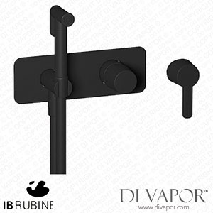 IB Rubinetti EAA706NP Taaac Exposed Parts for Bidet Spray Complete with Mixer Spare Parts