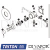 Triton ELICMINCBT Tech Diagram