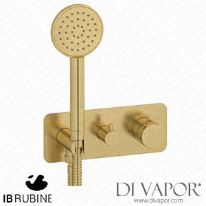 IB Rubinetti ERX313ON Reflex 2 Ways Wall Shower Hydroprogressive Mixer Complete with Shower Kit Spare Parts