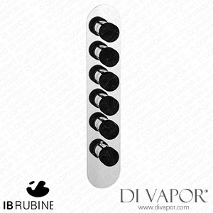 IB Rubinetti EUA512OSNMR_2 Aqua - 5 Ways Thermostatic Shower Spare Parts