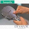 Hansgrohe Handheld Shower Head