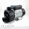 LX DH 1.0 Water Pump 1 HP - Profile Photograph