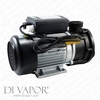 LX JA100 Pump 1 HP | Hot Tub | Spa | Whirlpool Bath | Water Circulation Pump | 220V/50Hz | 3.8 Amps