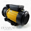LX TDA100 Pump 1 HP | Hot Tub | Spa | Whirlpool Bath | Water Circulation Pump | 220V/50Hz | 3.8 Amps