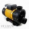 LX TDA100 Pump 1 HP | Hot Tub | Spa | Whirlpool Bath | Water Circulation Pump | 220V/50Hz | 3.8 Amps