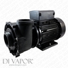 LX WP200-II Water Pump 2HP