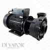 LX WP200-II Water Pump 2HP