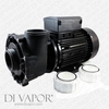 LX WP200-II Water Pump 2HP