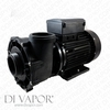 LX WP300-II Water Pump 3 HP