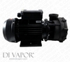 LX WP300-II Water Pump 3 HP