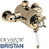 Bristan 1901 Vintage Gold Dual Control Shower Valve (Top Outlet)
