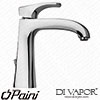 Paini Basin Taps Spare