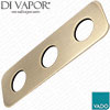 Shower Plate Vado