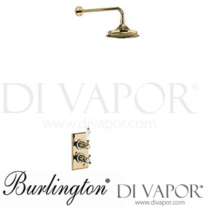 Burlington TF1S GOLD+V17 Trent Thermostatic Single Outlet Concealed Shower Valve Spare Parts